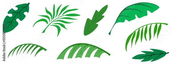Fototapeta Palm Leaves set. Beautiful vector tropical plant Leaves collection isolated transparent background. Ideal for Summer poster banner art template design. EPS 10