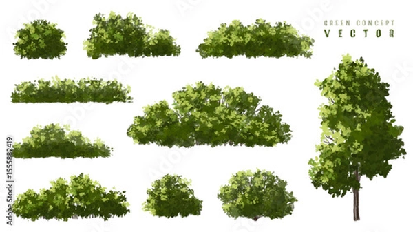 Fototapeta  Vector watercolor green  tree or forest side view isolated on white background for landscape and architecture drawing,elements for environment or and garden,Shrub for section