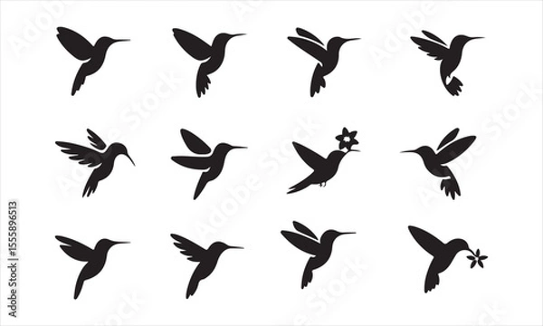Obraz Collection of Silhouettes of Hummingbirds in Flight, A set of twelve simple, black silhouette designs of hummingbirds in various flight positions, some feeding on flowers vector art on white
