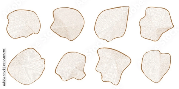 Fototapeta Eight brown graphic outline wavy concentric tree rings of wooden cuts on white. Slices wood trunk. Ripple organic circles. Hardwood stump. Vector illustration