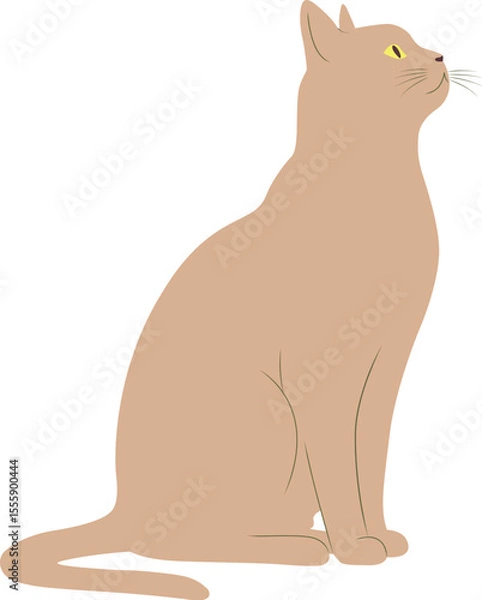 Fototapeta A graceful tan cat sitting and looking upwards minimalist vector art. 