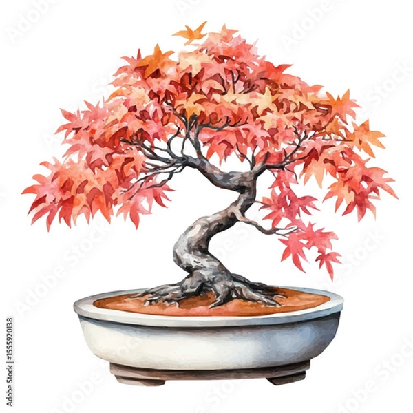 Fototapeta A Mountain Maple Bonsai, watercolor vector, isolated on a white background.