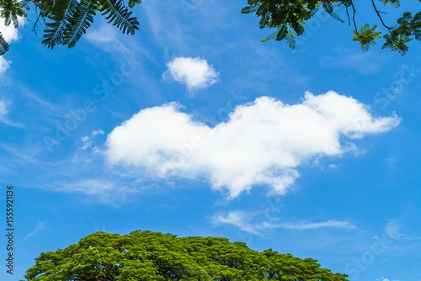 Fototapeta A heart-shaped cloud floats gently above lush green trees, framed by leafy branches and a vibrant blue sky.