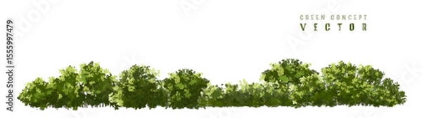 Fototapeta  Vector watercolor green  tree or forest side view isolated on white background for landscape and architecture drawing,elements for environment or and garden,Shrub for section