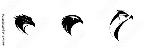 Fototapeta Set of three black icons depicting various stylized hawk profiles showcasing unique designs and artistic interpretations
