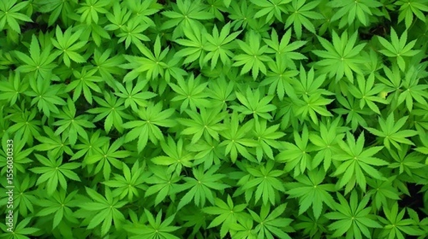 Fototapeta Vibrant Green Leaf Background Lush Foliage Texture