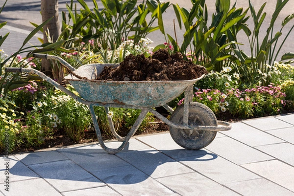 Fototapeta Garden plot during planting of flowers on a favorable sunny day