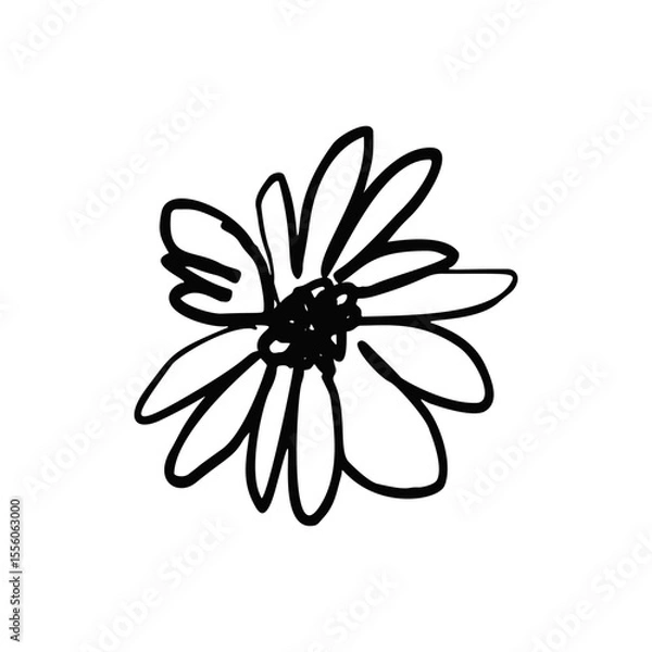 Fototapeta Hand drawn black ink abstract daisy flower isolated on white background. Monochrome scribble style bloom. Sketchy minimalist floral design.