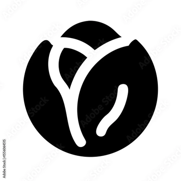 Obraz cabbage  icon is on white background