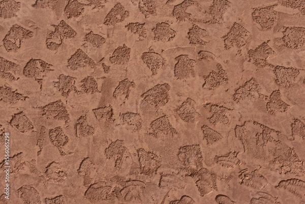 Fototapeta Background with decorative plaster in daylight