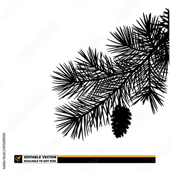 Fototapeta A monochrome silhouette of pine tree branch with needles and a pine cone hanging from the branch below