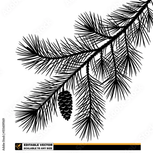 Fototapeta A monochrome silhouette of pine tree branch with needles and a pine cone hanging from the branch below