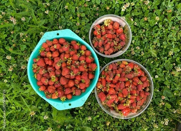 Obraz red strawberry in a bowl