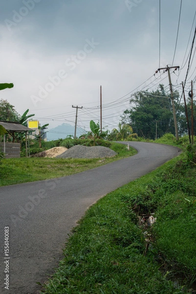 Obraz Scenic Rural Road with Vegetation and Power Poles on a Cloudy Day