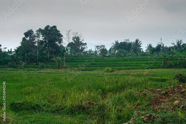 Obraz Lush Green Landscape with Fields, Trees, and Cloudy Sky during Daylight