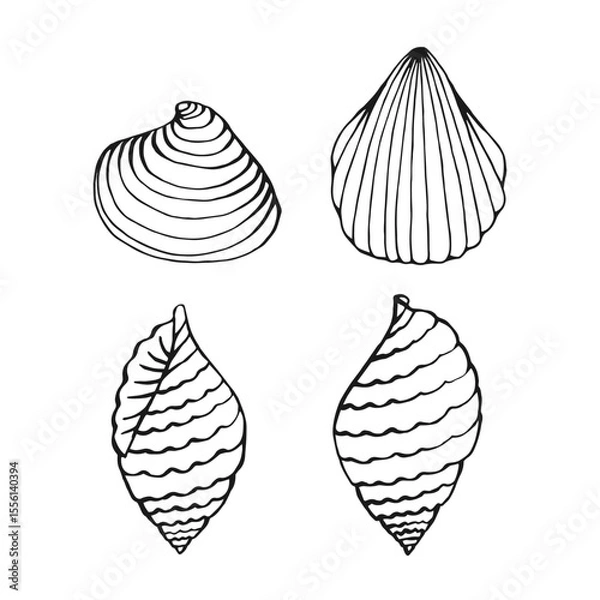 Obraz Set of seashells. Hand drawn vector illustration.