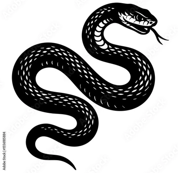 Obraz Snake