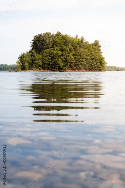 Fototapeta An island full of trees in Wachusett Reservoir in rural Massachusetts. The trees surrounding the reservoir help to filter the drinking water, removing pollutants and protecting the soil from erosion.