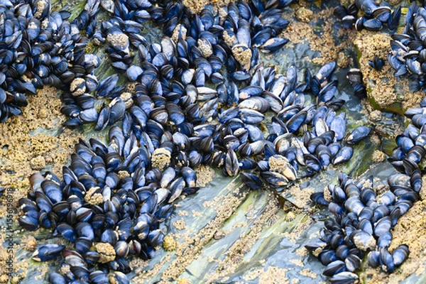 Obraz muscles on the rocks