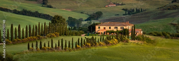 Obraz vineyard in tuscany