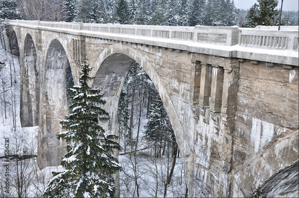 Fototapeta Stańczyki