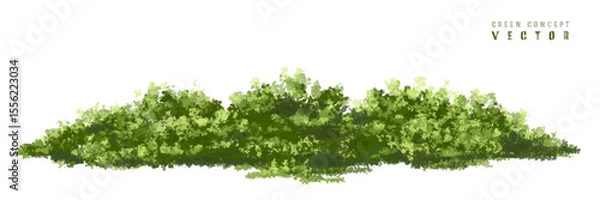 Fototapeta  Vector watercolor green  tree or forest side view isolated on white background for landscape and architecture drawing,elements for environment or and garden,Shrub for section