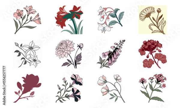Fototapeta Elegant floral set depicting various flower varieties with outlined and colored styles for artistic design and decoration