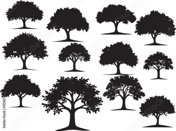 Fototapeta Courtyard Trees Vector Art, Oak tree silhouette, Tree silhouettes on white background vector illustration