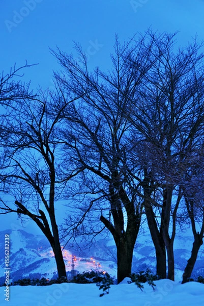 Obraz 夜明け前の木々の間に