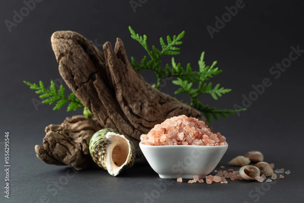 Obraz Pink himalayan salt with snags, green thuja branches, and seashells.
