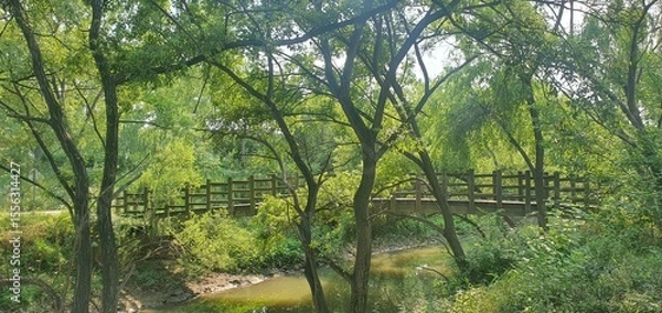 Obraz a view of a bridge with a forest river
