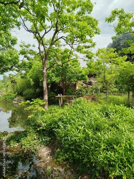 Obraz Árboles y lago 