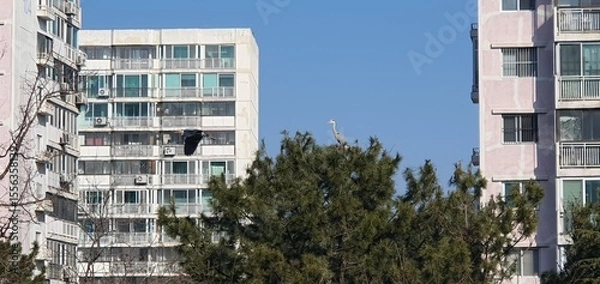 Obraz a bird that lives in a forest in an apartment