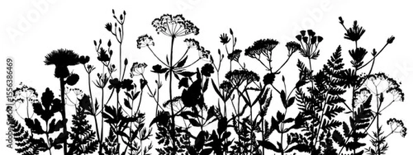 Obraz Vector silhouette of wild meadow herbs and flowers. Natural black grass border on white background. Perfect for botanical design, print, cards, posters, eco packaging, and decorative elements.