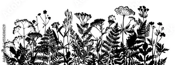 Obraz Vector silhouette of wild meadow herbs and flowers. Natural black grass border on white background. Perfect for botanical design, print, cards, posters, eco packaging, and decorative elements.