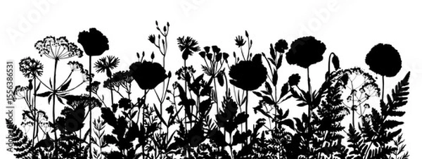 Obraz Vector silhouette of wild meadow herbs and flowers. Natural black grass border on white background. Perfect for botanical design, print, cards, posters, eco packaging, and decorative elements.