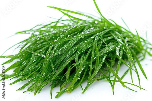 Fototapeta Close up of fresh green grass blades glistening with tiny water droplets