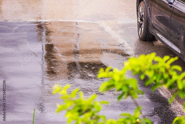 Fototapeta Parked black car on wet asphalt during rainfall with blurred green branches visible in foreground. Sweden.