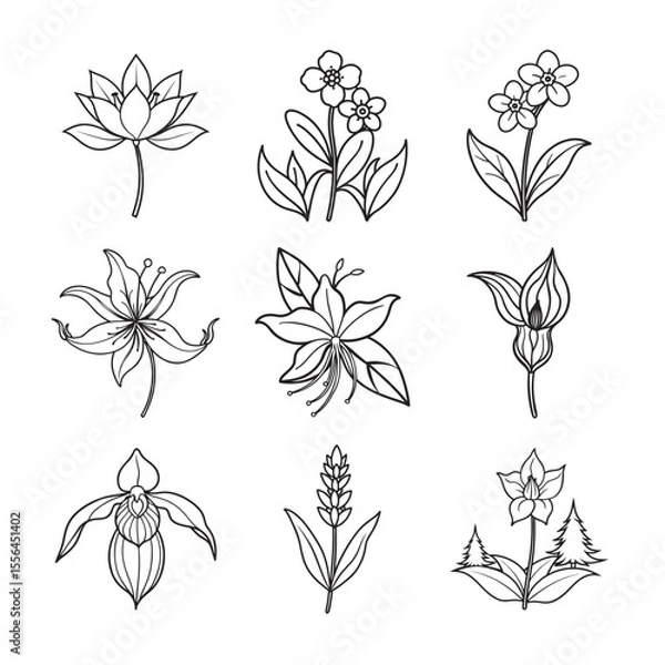 Fototapeta line art of forest flower four type bundle on the white background