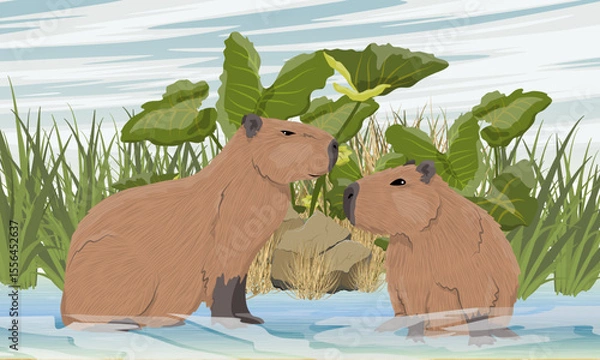 Obraz A pair of capybaras are sitting in a pond. Shore of a pond with tall grass. Rodent of South America. Realistic vector landscape