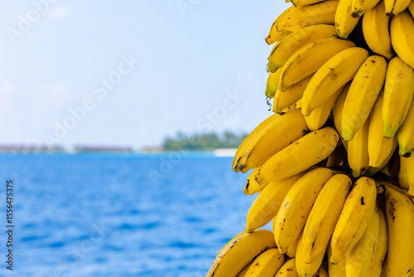 Fototapeta Fresh ripe yellow bananas bundle with blue ocean on background. Healthy food background. Selective focus