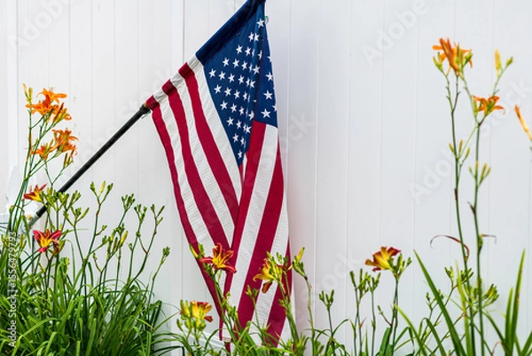 Obraz horizontal American flag isolated on white background in outdoor flower garden
