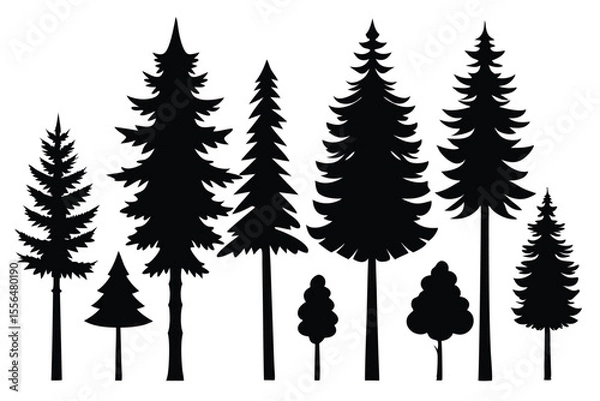 Fototapeta Silhouettes of evergreen trees in a forest setting
