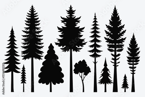 Fototapeta Silhouettes of evergreen trees in a forest setting
