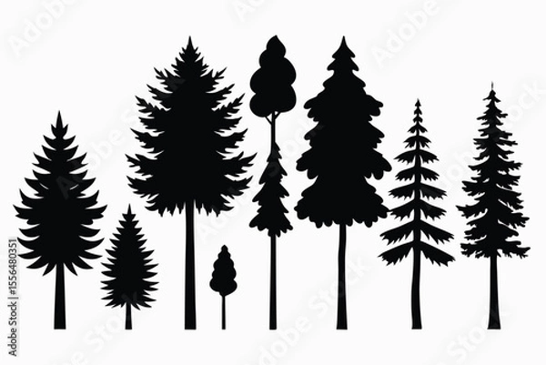 Fototapeta Silhouettes of evergreen trees in a forest setting
