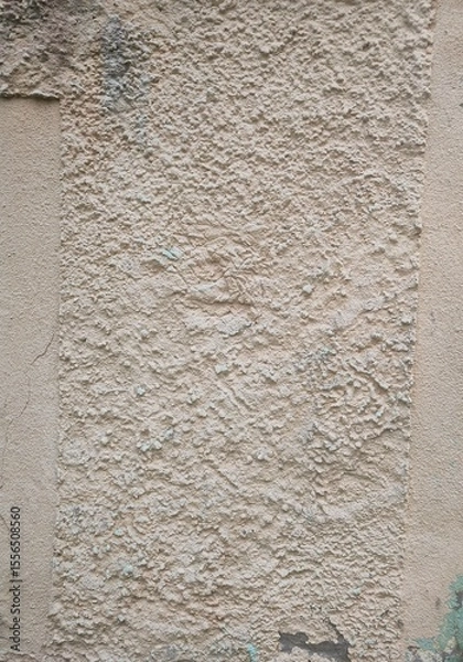 Obraz Texture - Old deteriorated brick house facade