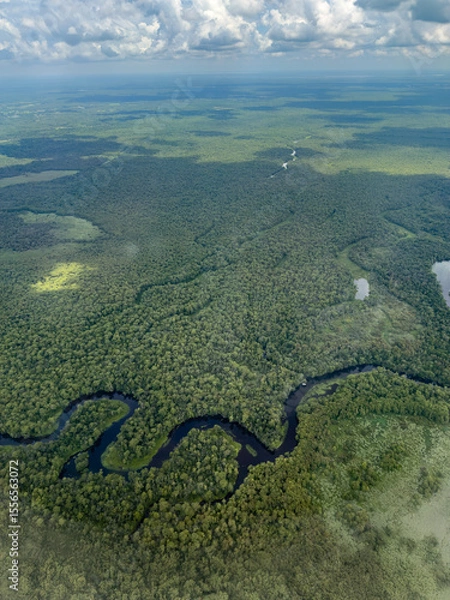 Fototapeta Aerial View of a Forest with a Winding Stream