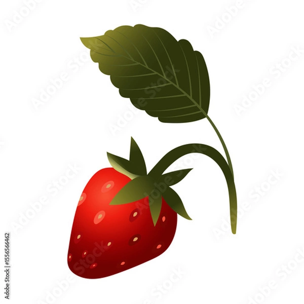 Obraz Strawberry. Ripe red berry close-up. Vector illustration isolated on white background.