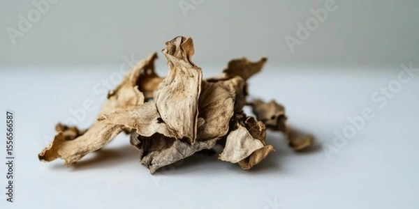 Obraz Dried Herbal Ingredients Utilized for Both Culinary Applications and Medicinal Purposes