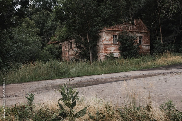 Obraz An abandoned, old brick house overgrown with nature, standing on a dirt road, with a blurred background